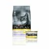 Purina Pro Plan Chat Adult Light Dinde -Promos VetoStore Boutique 0001849822ec68ac563517a97642994420a86e4e17f7ddc1a15fc199b01c547f