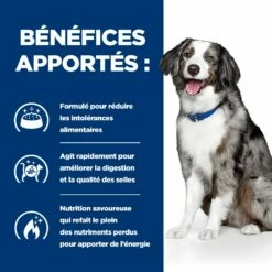 Hill's Prescription Diet I/D AB+ Sensitive Croquettes Pour Chien 13 Hill's Prescription Diet I/D AB+ Sensitive Croquettes Pour Chien -Promos VetoStore Boutique 00052742040592 4 prescription diet chien i d sensitive croquettes