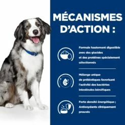 Hill's Prescription Diet I/D AB+ Sensitive Croquettes Pour Chien 14 Hill's Prescription Diet I/D AB+ Sensitive Croquettes Pour Chien -Promos VetoStore Boutique 00052742040592 5 prescription diet chien i d sensitive croquettes
