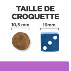 Hill's Prescription Diet I/D AB+ Sensitive Croquettes Pour Chien 15 Hill's Prescription Diet I/D AB+ Sensitive Croquettes Pour Chien -Promos VetoStore Boutique 00052742040592 6 prescription diet chien i d sensitive croquettes