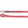 Flamingo Laisse D'Entrainement Ziggi Rouge Cerise 200cm20mm -Promos VetoStore Boutique 0335a12afb74286e69ab673d9ef05ea2066c20890d9268de1654af58f137158f