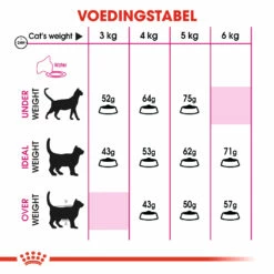 Royal Canin Protein Exigent Pour Chat 4kg -Promos VetoStore Boutique 0940f9380e24fd6977e0166039f34726c27c9abe12319f295b4029f84f5c8e3e 1