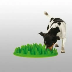 Gamelle Anti Glouton Northmate Green Karlie -Promos VetoStore Boutique 0e170f08ea861902a2f0704ec052fb807ffc87d99f80b18fd669935838687c85