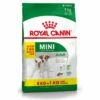 Royal Canin Mini Adult Pour Chien 8kg + 1kg Gratuit