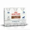 Royal Canin GI High Energy Liquid - 3 Flacons De 200ml