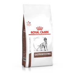 Royal Canin Gastro-intestinal Chien