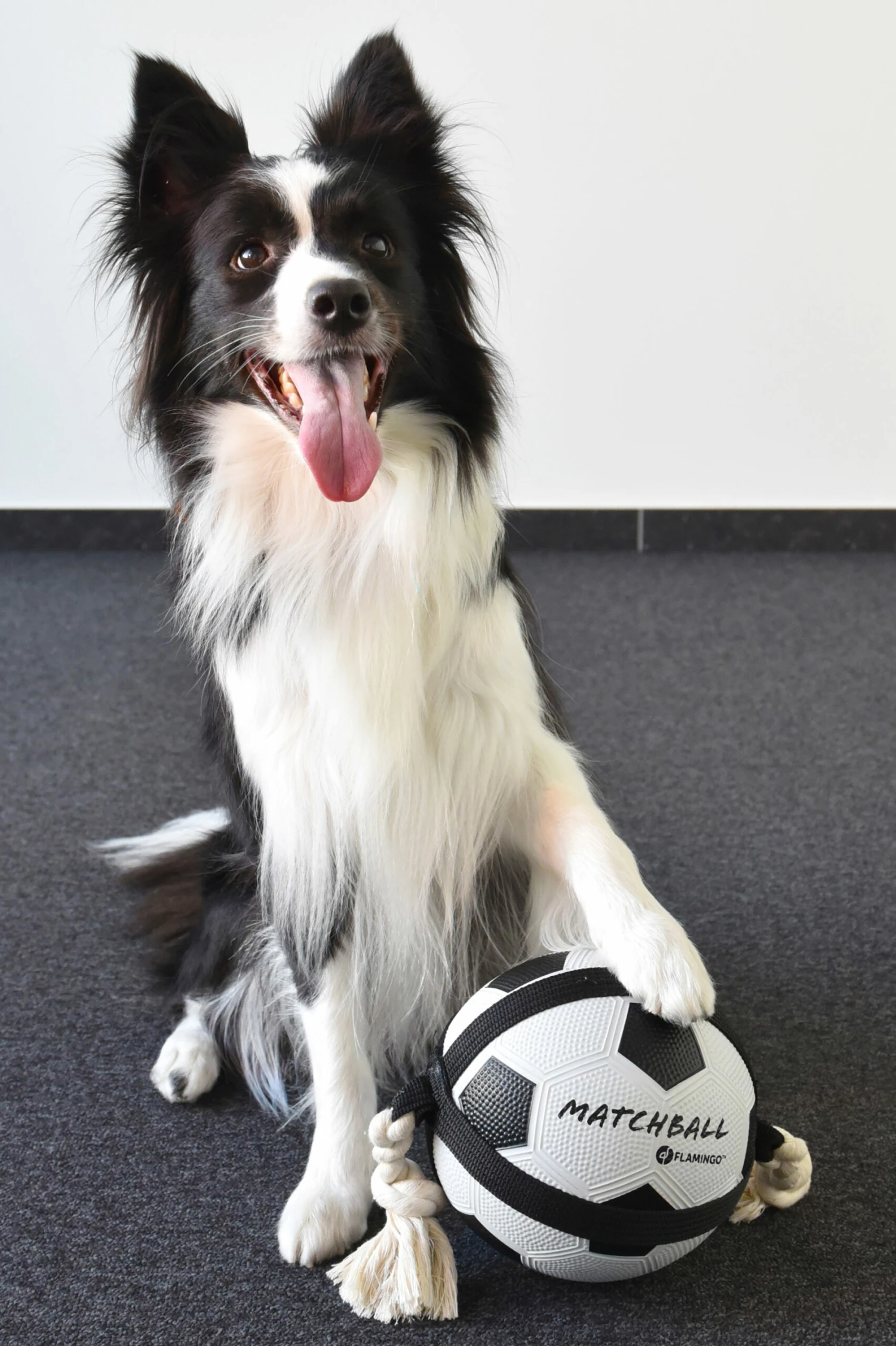 Flamingo Jouet Chien Matchball Balle De Foot 22cm 6 Flamingo Jouet Chien Matchball Balle De Foot 22cm – Image 4