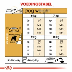 Royal Canin Carlin (Pug) Adult Pour Chien 3kg -Promos VetoStore Boutique 1f09598131a8cf83ce574b12b60dd2d6d0ab26dd97375c3ec79e7c813cb6ad83 1