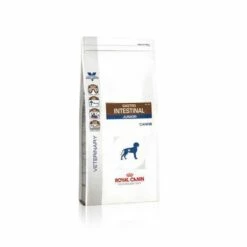 Royal Canin Gastro Intestinal Puppy Chien -Promos VetoStore Boutique 2021057f81646d34e3b010d54900eb0e0515a48b16324bcd167c9899ff88a88b