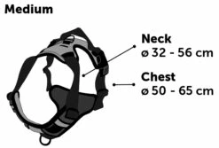 Flamingo Harnais Balou Noir M 50-65cm 25mm -Promos VetoStore Boutique 2871a227a7d641a6fbef5b23804ff1bfa1ef84f8552ce4df702eaed6b98fee68