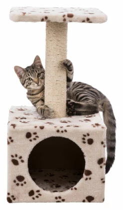 Trixie Junior Arbre À Chat Zamora 60 Cm -Promos VetoStore Boutique 296430a49650021715428d96024094018a9344f44bd305f178e0c7dc9eaccf76