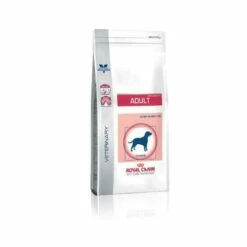 Royal Canin Chien Adult Medium Dog -Promos VetoStore Boutique 2cf0a30cbd97b228d753f88fdef7c523b5c75970ba003b56507fb109daa4bc00