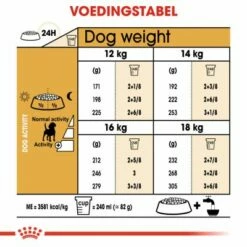 Royal Canin Beagle Adult Pour Chien 12kg -Promos VetoStore Boutique 2da956bc9d2cd519e513f67312a43811d975a51cc1109c055e812a1dfe8b2c91 1