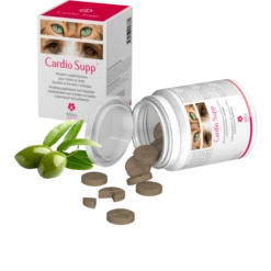 Cardio Supp Miloa 60 Comprimés