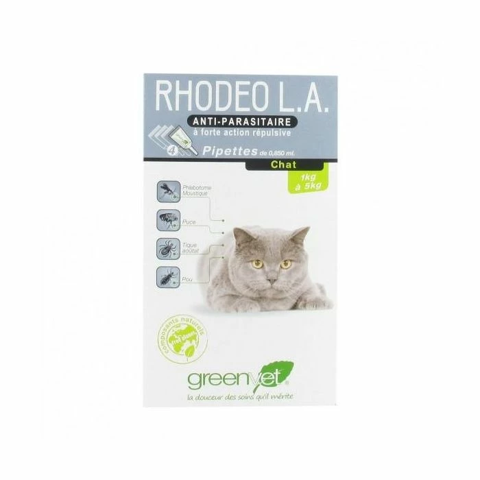 RHODEO L.A. Chat 3 RHODEO L.A. Chat