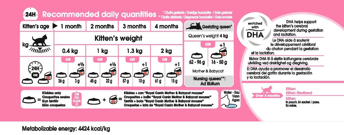 Royal Canin Mother & Babycat 2kg 4 Royal Canin Mother & Babycat 2kg – Image 2