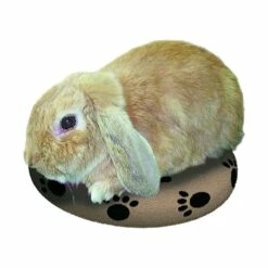 Bouillotte SNUGGLESAFE Pour Animal De Compagnie 13 Bouillotte SNUGGLESAFE Pour Animal De Compagnie -Promos VetoStore Boutique 3b3c442f6bf51fb9d7b5c247118bfe79b6f04502