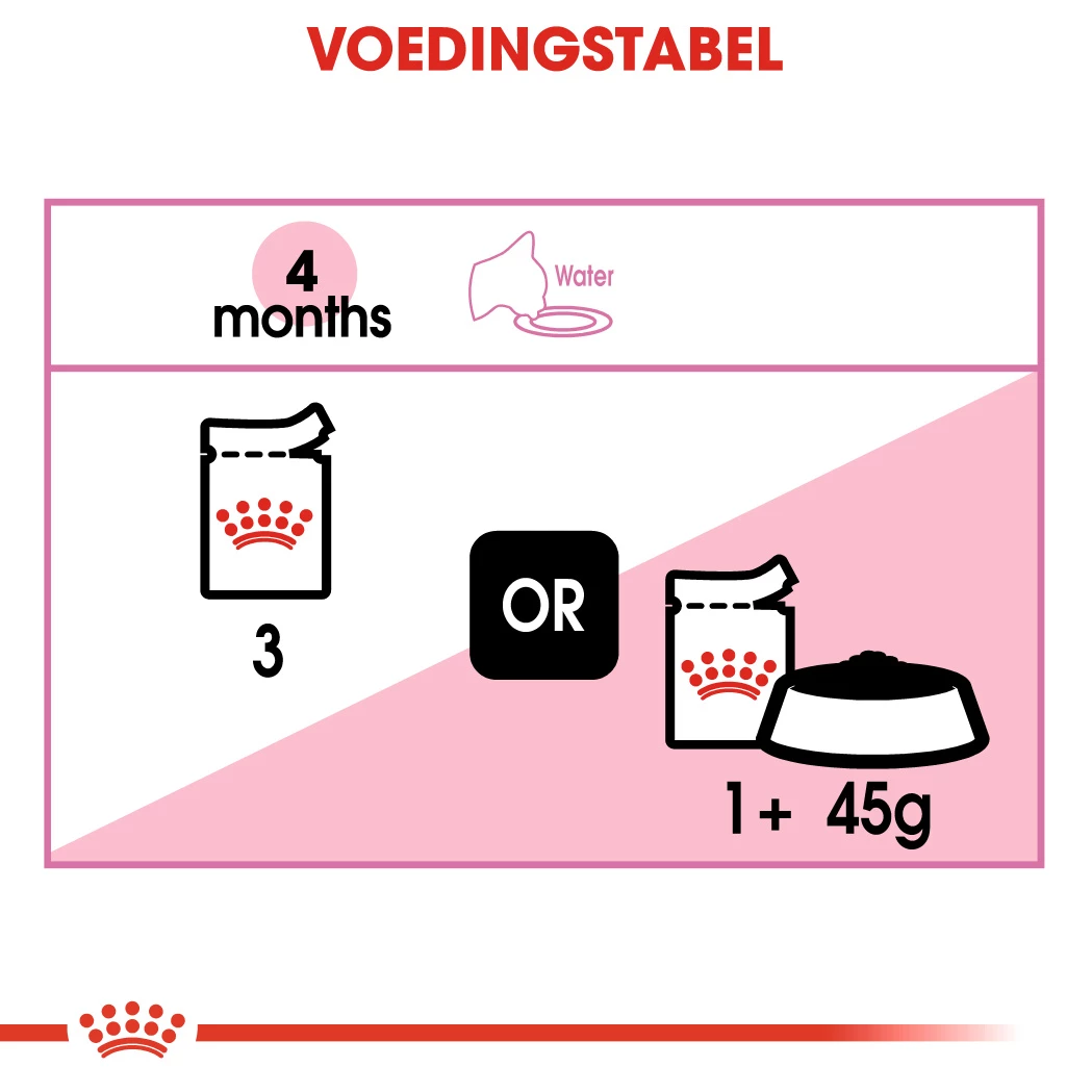 Royal Canin Kitten Sachet - Emincé En Sauce 4 Royal Canin Kitten Sachet - Emincé En Sauce – Image 2