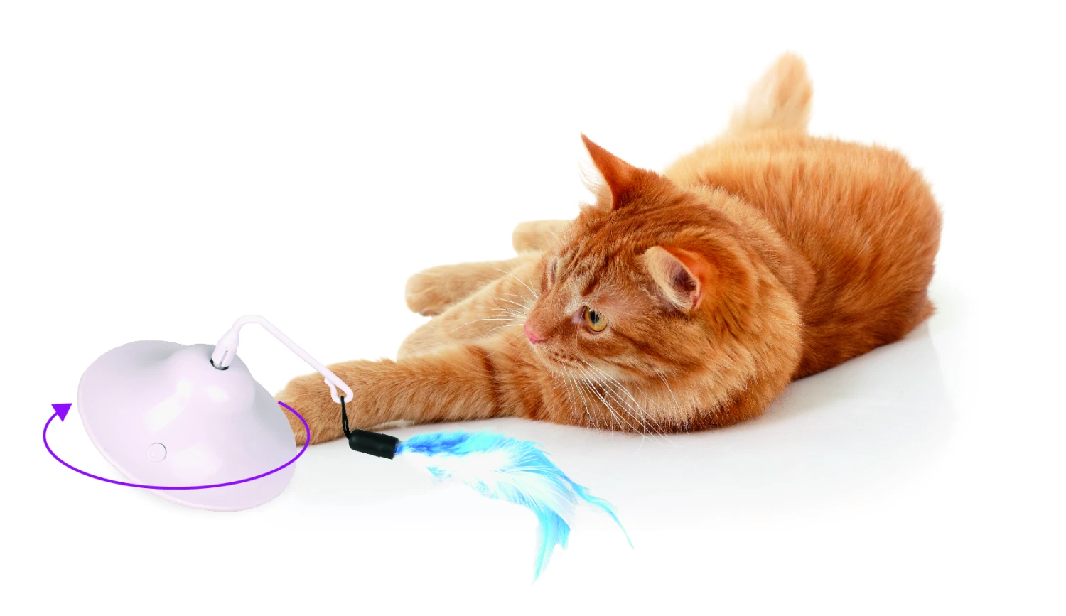 Flamingo Jouet Chat Scully Electro Dia. 9,7cm 7 Flamingo Jouet Chat Scully Electro Dia. 9,7cm – Image 5