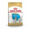 Royal Canin Jack Russel Chiot Pour Chien 3kg -Promos VetoStore Boutique 47eb138ca64260337e02dcd425c600f0bbd2385c2824f639daeaa7804737837b