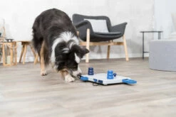 Trixie Jeu De Stratégie Pour Chien Move2win 34 X 23 Cm -Promos VetoStore Boutique 4943b5ab1fdf8d5e3986111639f8517c532339d0d68afc99555527262b04d611