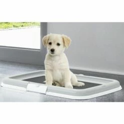 Set D'éducation Pour Chiot