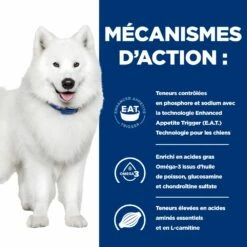 Hill's Prescription Diet K/D J/D Kidney + Mobility Croquettes Pour Chien Au Poulet -Promos VetoStore Boutique 52742011608 5 prescription diet chien k d mobility croquettes poulet 1