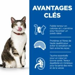 Hill's Science Plan Mature Adult Light Croquettes Pour Chat Sénior Au Poulet 8 Hill's Science Plan Mature Adult Light Croquettes Pour Chat Sénior Au Poulet -Promos VetoStore Boutique 52742023229 2 science plan chat g mature light croquettes poulet