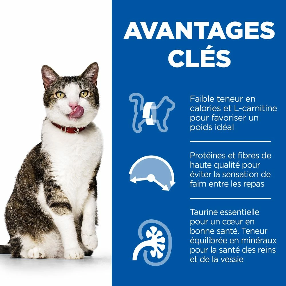 Hill's Science Plan Mature Adult Light Croquettes Pour Chat Sénior Au Poulet 4 Hill's Science Plan Mature Adult Light Croquettes Pour Chat Sénior Au Poulet – Image 2