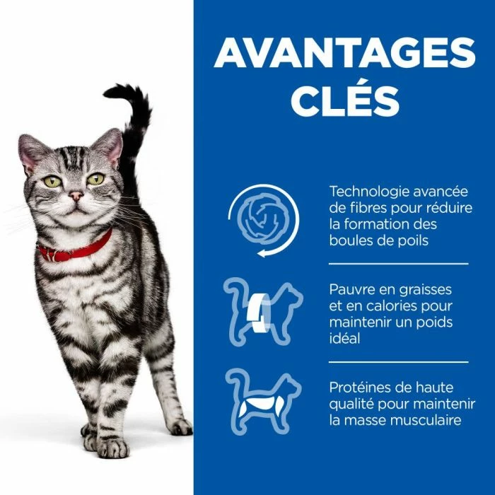 Hill's Science Plan Adult Hairball Indoor Croquettes Pour Chat D'intérieur Au Poulet 6 Hill's Science Plan Adult Hairball Indoor Croquettes Pour Chat D'intérieur Au Poulet – Image 4