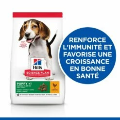Hill's Science Plan Puppy Croquettes Et Boîtes Pour Chiot Medium Au Poulet 12 Hill's Science Plan Puppy Croquettes Et Boîtes Pour Chiot Medium Au Poulet -Promos VetoStore Boutique 52742025728 2 science plan chiot medium croquettes poulet.jpg
