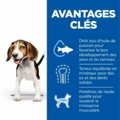 Hill's Science Plan Puppy Croquettes Et Boîtes Pour Chiot Medium Au Poulet 13 Hill's Science Plan Puppy Croquettes Et Boîtes Pour Chiot Medium Au Poulet -Promos VetoStore Boutique 52742025728 3 science plan chiot medium croquettes poulet.jpg