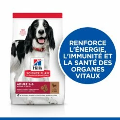 Hill's Science Plan Adult Croquettes Pour Chien Medium -Promos VetoStore Boutique 52742025865 2 science plan chien adulte medium croquettes agneau