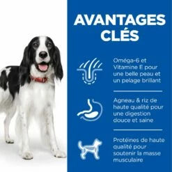 Hill's Science Plan Adult Croquettes Pour Chien Medium -Promos VetoStore Boutique 52742025865 3 science plan chien adulte medium croquettes agneau