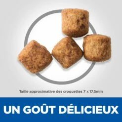 Hill's Science Plan Senior Vitality Croquettes Pour Grand Chien Mature Au Poulet Et Au Riz 14Kg -Promos VetoStore Boutique 52742025964 4 science plan senior vitaity chien large croquettes poulet