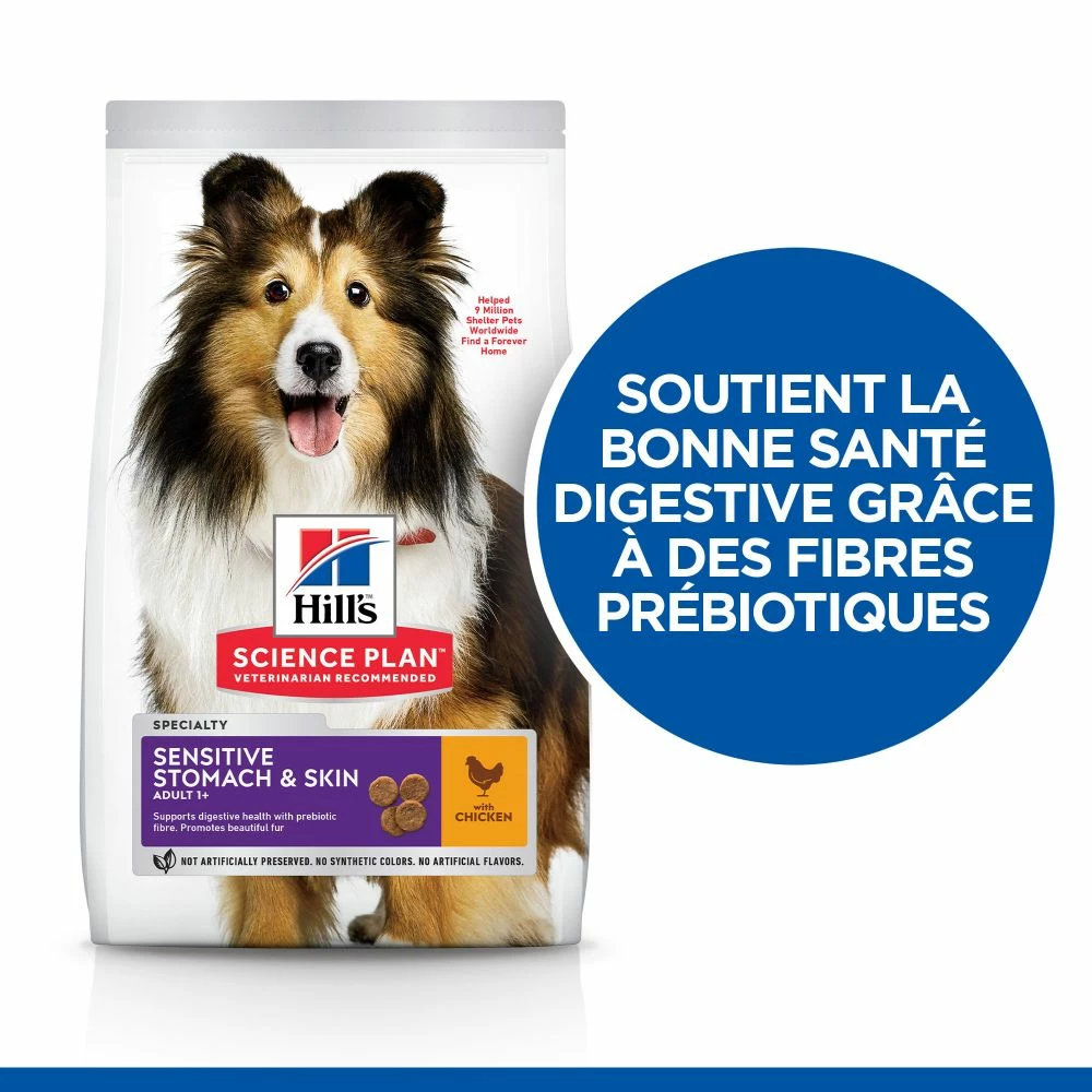 Hill's Science Plan Adult Sensitive Stomach & Skin Croquettes Pour Chien Au Poulet 14Kg 5 Hill's Science Plan Adult Sensitive Stomach & Skin Croquettes Pour Chien Au Poulet 14Kg – Image 3