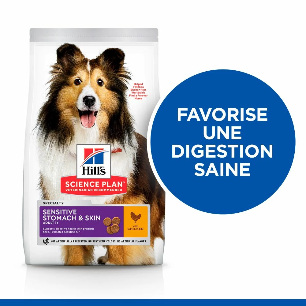 Hill's Science Plan Adult Sensitive Stomach & Skin Croquettes Pour Chien Au Poulet 14Kg 6 Hill's Science Plan Adult Sensitive Stomach & Skin Croquettes Pour Chien Au Poulet 14Kg – Image 4