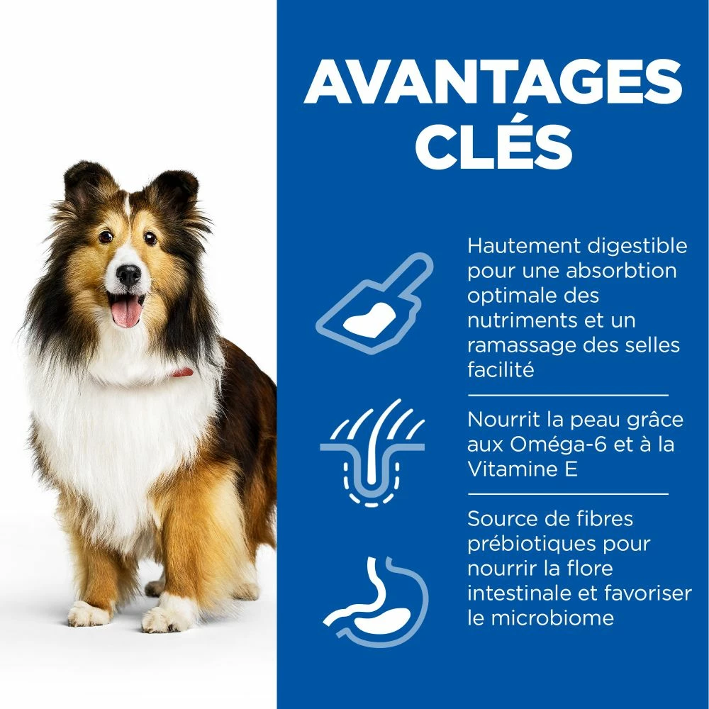 Hill's Science Plan Adult Sensitive Stomach & Skin Croquettes Pour Chien Au Poulet 14Kg 7 Hill's Science Plan Adult Sensitive Stomach & Skin Croquettes Pour Chien Au Poulet 14Kg – Image 5