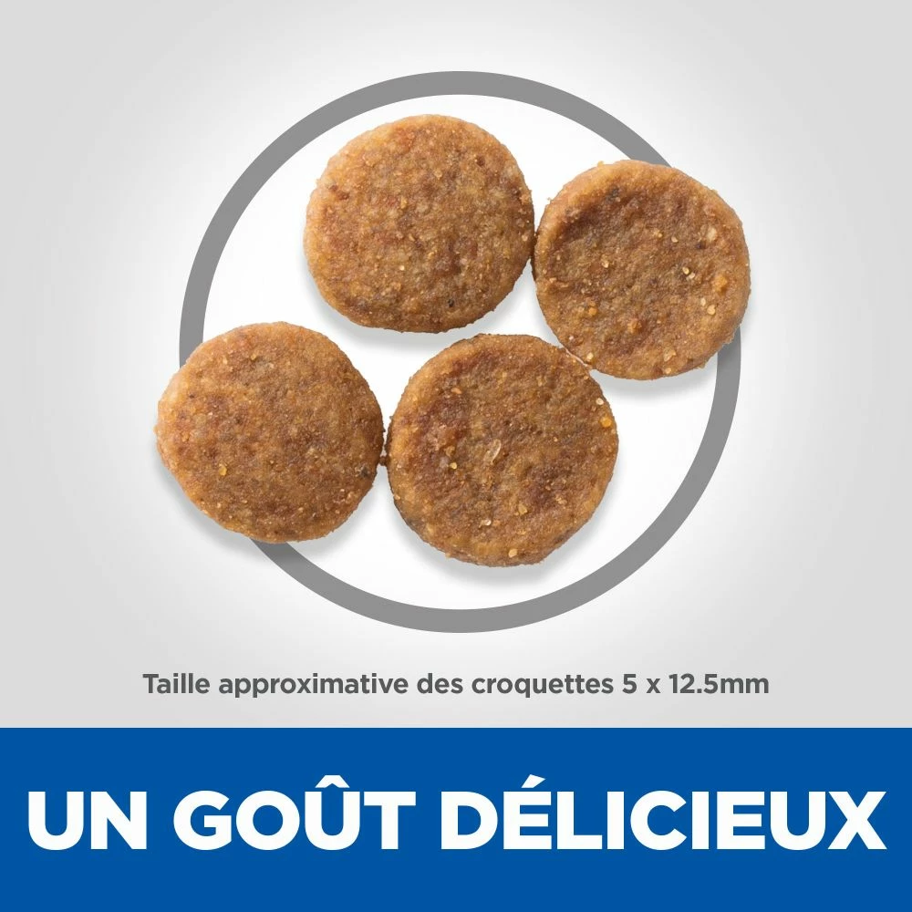 Hill's Science Plan Adult Sensitive Stomach & Skin Croquettes Pour Chien Au Poulet 14Kg 8 Hill's Science Plan Adult Sensitive Stomach & Skin Croquettes Pour Chien Au Poulet 14Kg – Image 6