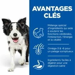 Hill's Science Plan Senior Vitality Croquettes Pour Chien âgé Au Poulet 14Kg -Promos VetoStore Boutique 52742026107 3 science plan senior vitality chien medium croquettes poulet