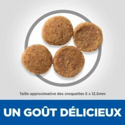 Hill's Science Plan Senior Vitality Croquettes Pour Chien âgé Au Poulet 14Kg -Promos VetoStore Boutique 52742026107 4 science plan senior vitality chien medium croquettes poulet