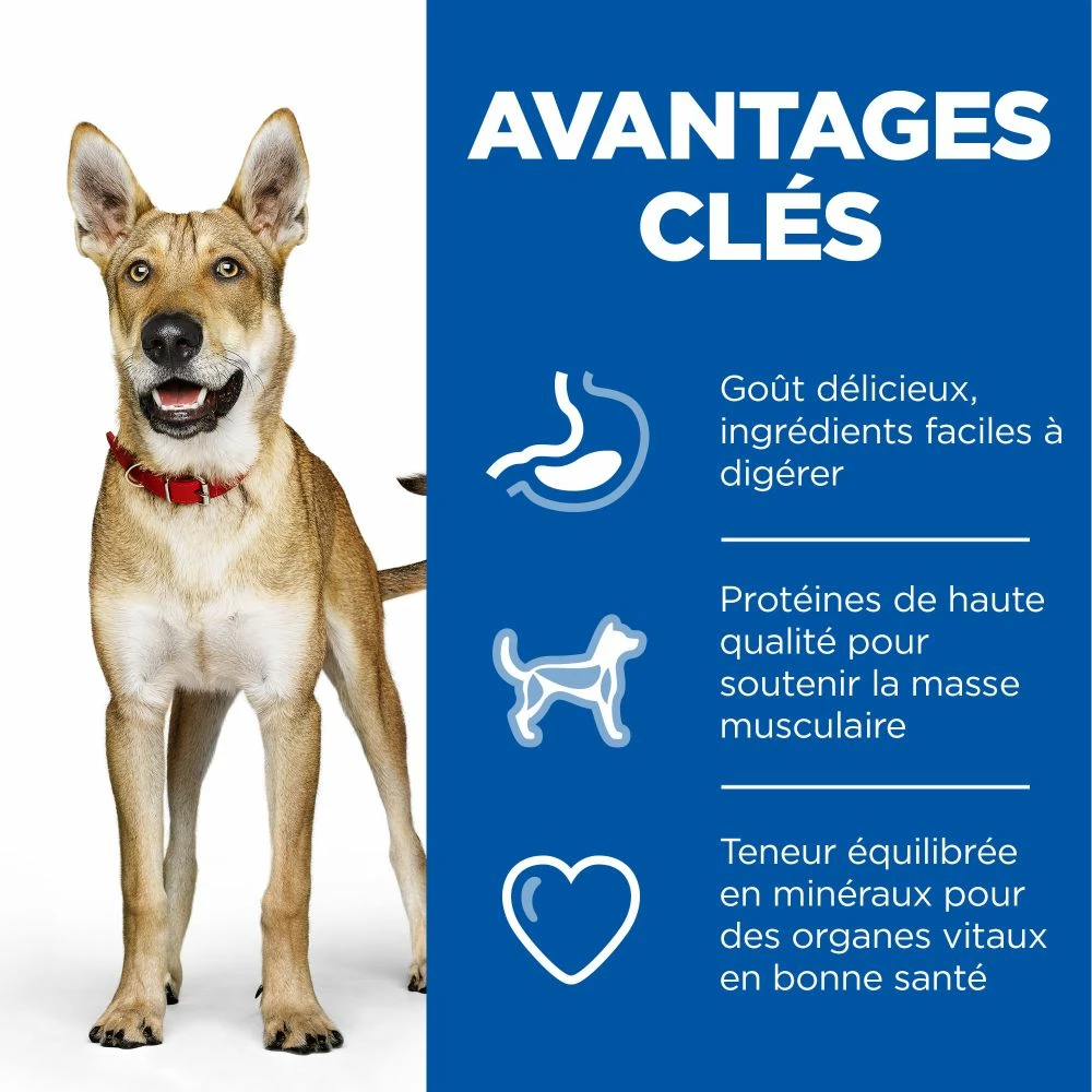 Hill's Science Plan Adult Performance Croquettes Pour Chien Au Poulet 14Kg 6 Hill's Science Plan Adult Performance Croquettes Pour Chien Au Poulet 14Kg – Image 4