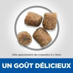Hill's Science Plan Adult Healthy Mobility Croquettes Pour Chien Medium Au Poulet 14Kg -Promos VetoStore Boutique 52742026138 4 science plan healthy mobility chien adulte medium croquettes poulet