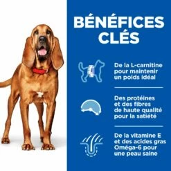 Hill's Science Plan Mature Adult Light Croquettes Pour Chien Sénior Medium Au Poulet - 14Kg -Promos VetoStore Boutique 52742026169 3 science plan light chien g medium croquettes poulet
