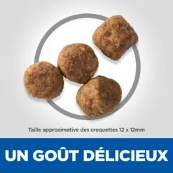 Hill's Science Plan Mature Adult Light Croquettes Pour Chien Sénior Medium Au Poulet - 14Kg -Promos VetoStore Boutique 52742026169 5 science plan light chien g medium croquettes poulet
