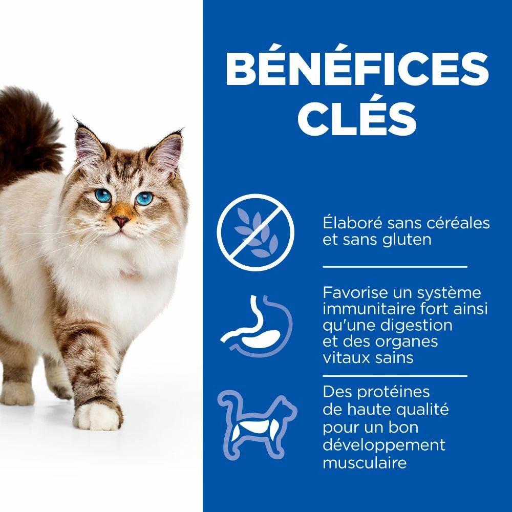 Hill's Science Plan No Grain Croquettes Sans Céréales Pour Chat Adulte Au Poulet - 1.5Kg 7 Hill's Science Plan No Grain Croquettes Sans Céréales Pour Chat Adulte Au Poulet - 1.5Kg – Image 5