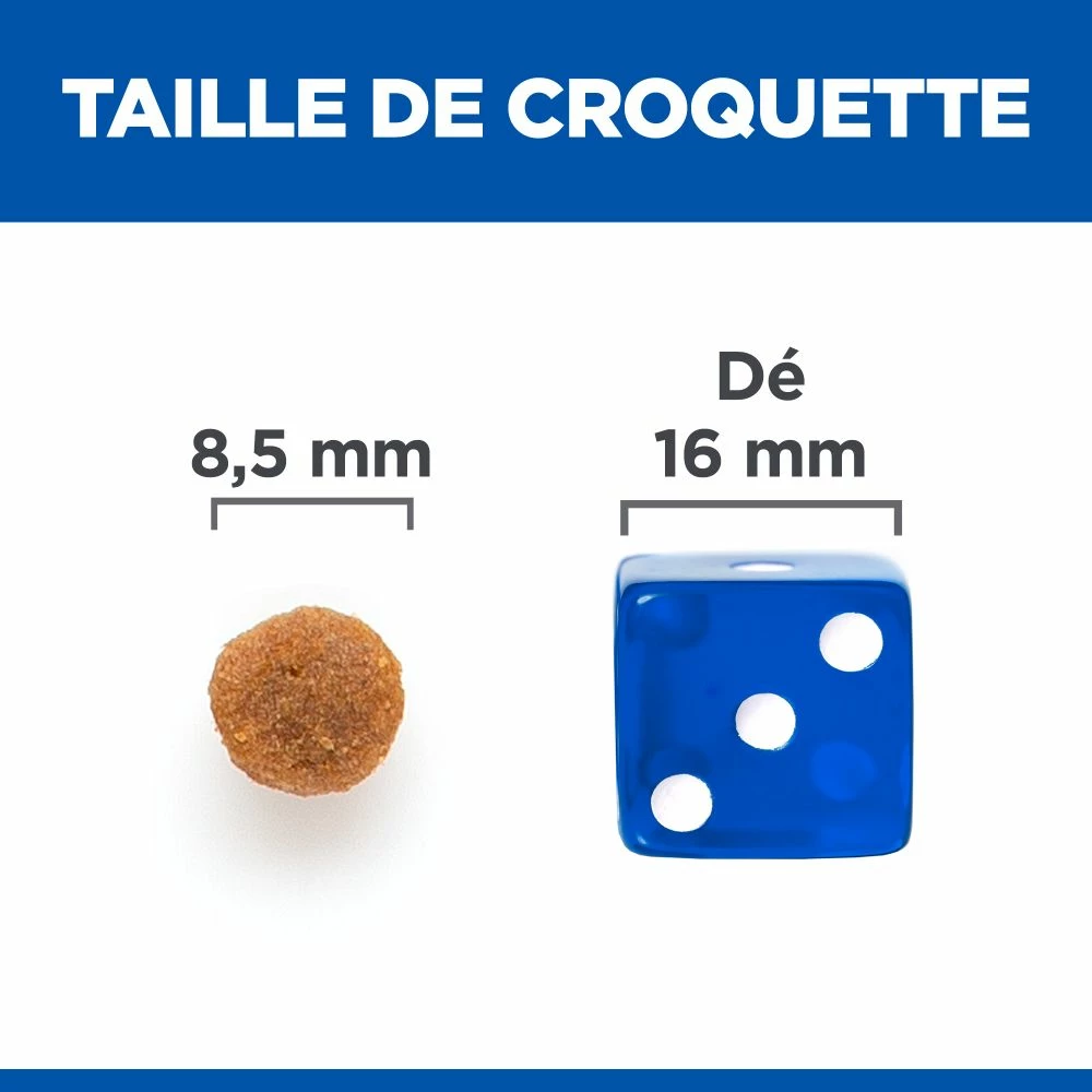 Hill's Science Plan No Grain Croquettes Sans Céréales Pour Chat Adulte Au Poulet - 1.5Kg 8 Hill's Science Plan No Grain Croquettes Sans Céréales Pour Chat Adulte Au Poulet - 1.5Kg – Image 6