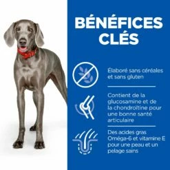Hill's Science Plan Adult No Grain Large Breed Croquettes Sans Céréales Pour Chien Adulte De Grande Race Au Poulet - 14Kg -Promos VetoStore Boutique 52742037233 4 science plan chien adult large no grain croquettes poulet