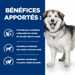 Hill's Prescription Diet C/d Multicare + Metabolic Croquettes Pour Chien -Promos VetoStore Boutique 52742037394 4 prescription diet chien c d multicare metabolic croquettes