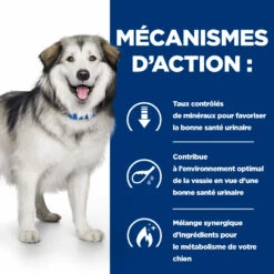 Hill's Prescription Diet C/d Multicare + Metabolic Croquettes Pour Chien -Promos VetoStore Boutique 52742037394 5 prescription diet chien c d multicare metabolic croquettes